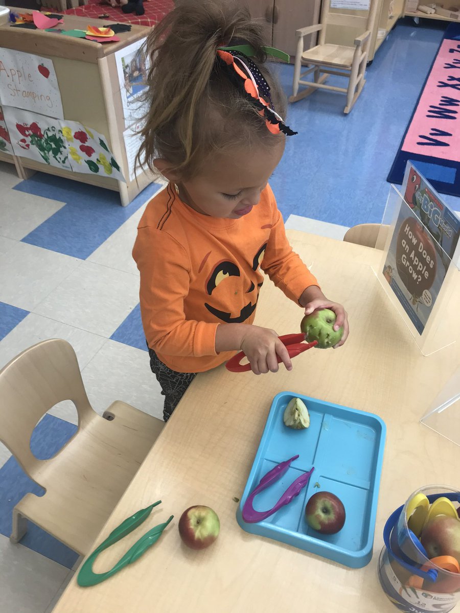 D31BeeHiveSI's tweet photo. Students in Mrs. Naimo’s #3K class at #2389Richmond created #fall collages and #dissected apples 🍏 🍎 🍁 @DrJoyAbrams @DrMarionWilson @CSD31SI @NYCSchools https://t.co/6CFmPtIxrE