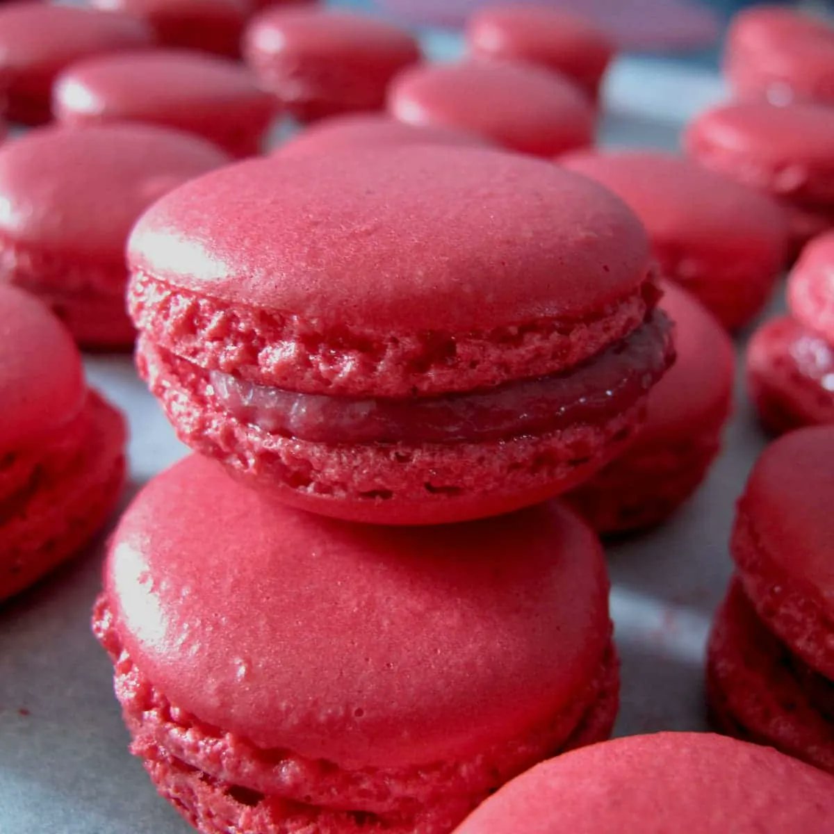 Jill_Colonna's tweet photo. Love raspberry with rose? Try this voluptuous Raspberry Macaron Filling with White Chocolate Ganache and Rose https://t.co/R6a1sBOvfs
#raspberryrose #pinkmacarons https://t.co/bu2ymEWYO1