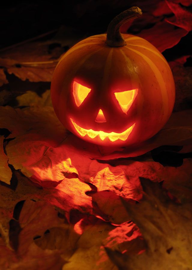 NosCalanGaeaf's tweet photo. HAPPY HALLOWEEN!
It's the most wonderful time of the year!
🎃🍂🎃☕️🎃👻🎃🦇🎃🍂🎃
#Halloween #Halloween2022 https://t.co/binjf60oNn