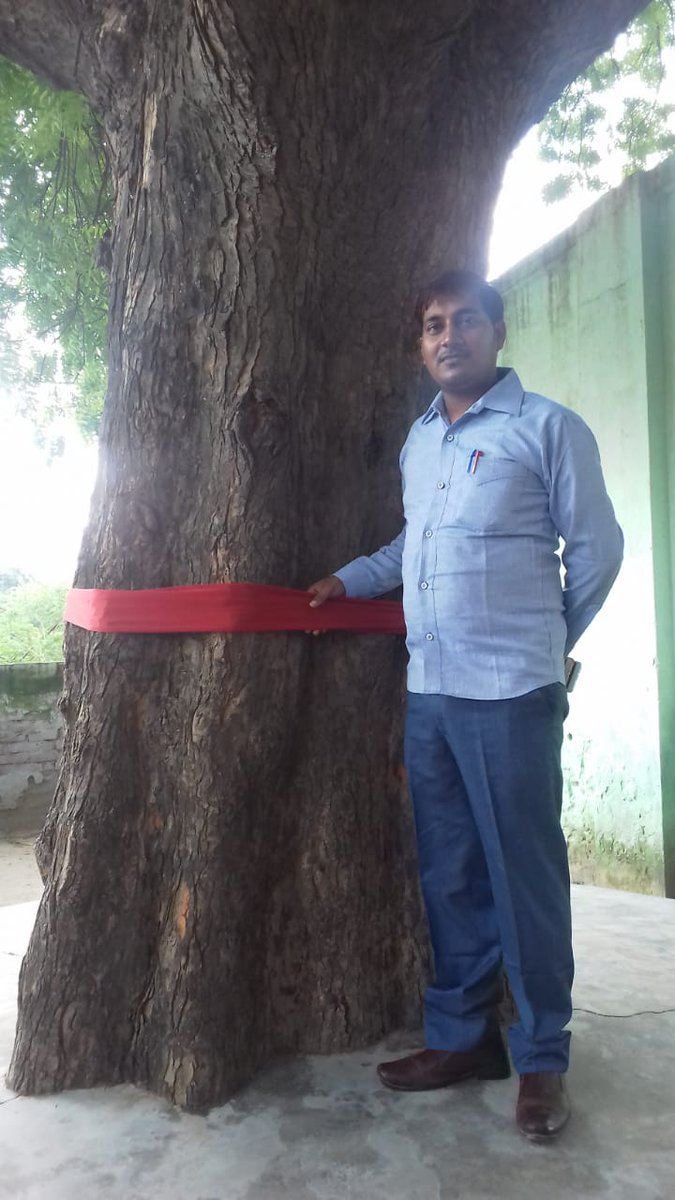 *🌳#प्रकृति_मित्र, #nature_friend🌳*
Name- RAJEEV KUMAR
Designation: ASSISTANT TEACHER
Address: PRIMARY SCHOOL THANGAON,KOTHAWAN,HARDOI
<a href="/shikshansamvad/">मिशन शिक्षण संवाद @shikshansamvad</a>
<a href="/RedTapeMovement/">Red Tape Movement 🌳</a> 
<a href="/teachersclubup/">teachers club</a> <a href="/UNEP/">UN Environment Programme</a> <a href="/UNBiodiversity/">UN Biodiversity</a> <a href="/ipbes/">ipbes</a> <a href="/eriksolheim/">Erik Solheim</a> 
साभार : मिशन शिक्षण संवाद प्रकृति मित्र परिवार