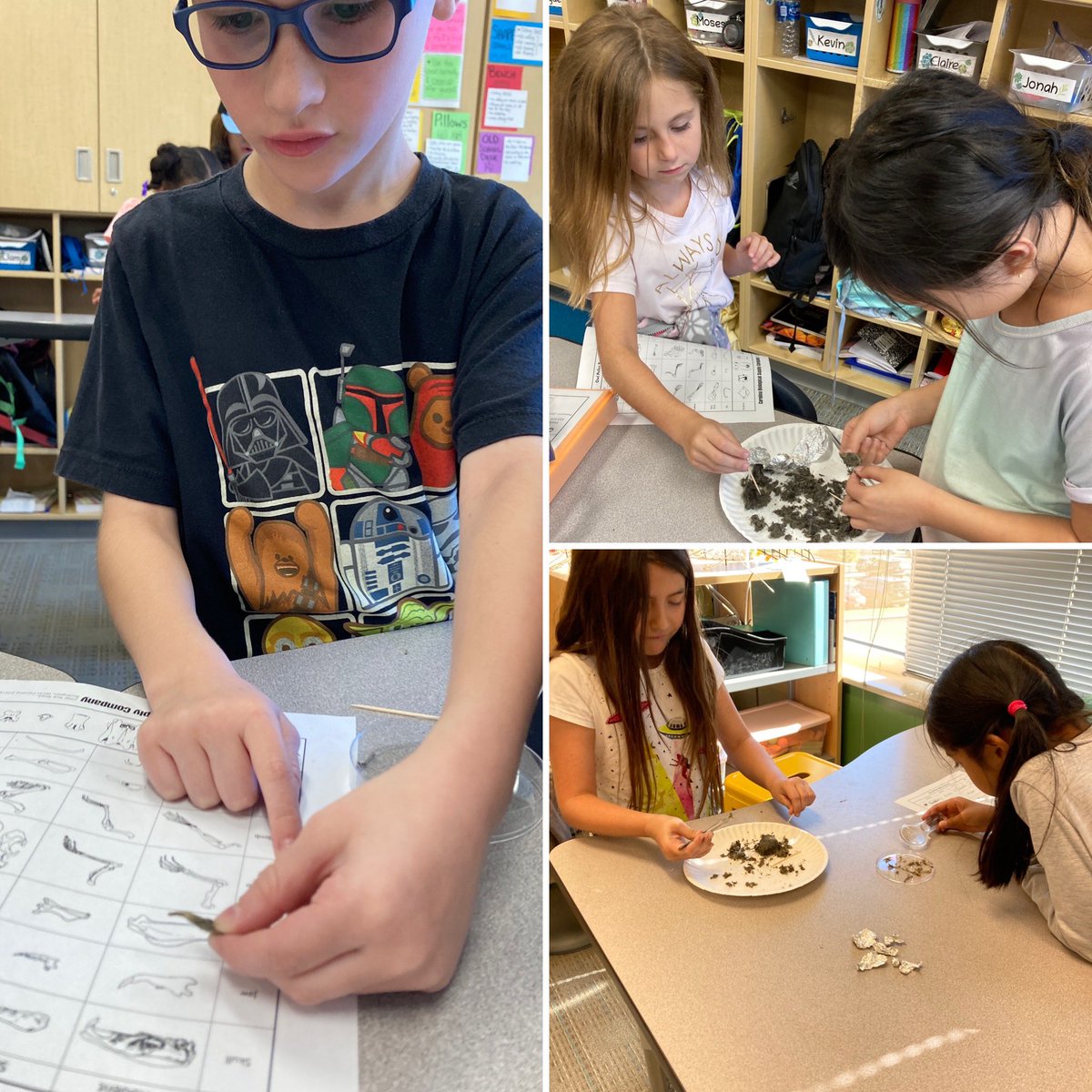 MsPGrade3's tweet photo. Owl pellet exploration day is one of my favorite days in 3rd grade! 🦉 https://t.co/6KZm0Imvk6