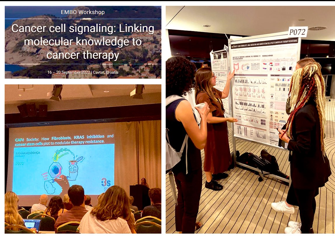 MendoncaSusana's tweet photo. I am very pleased that I was awarded a travel grant to present my work at #EMBOCellsignaling workshop. I got amazing input and learnt a lot! In plus, got to meet amazing people. 👏 It was a wonderful time. https://t.co/iNAWjKmZsv