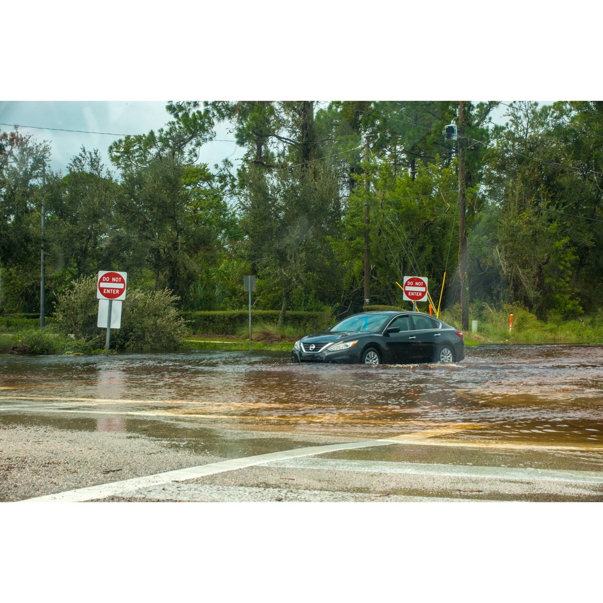 thelabradax's tweet photo. Hurricane Ian flooding on roadways in Sebring, Florida, Sep, 29, 2022, photograph by @labradax 
.
.
.
#photojournalism  #flood #documentaryphotography #hurricaneian #sebring #florida #fotografien #fotografie #fotografia @viiphoto #heyjb https://t.co/ahFlNDnGAf