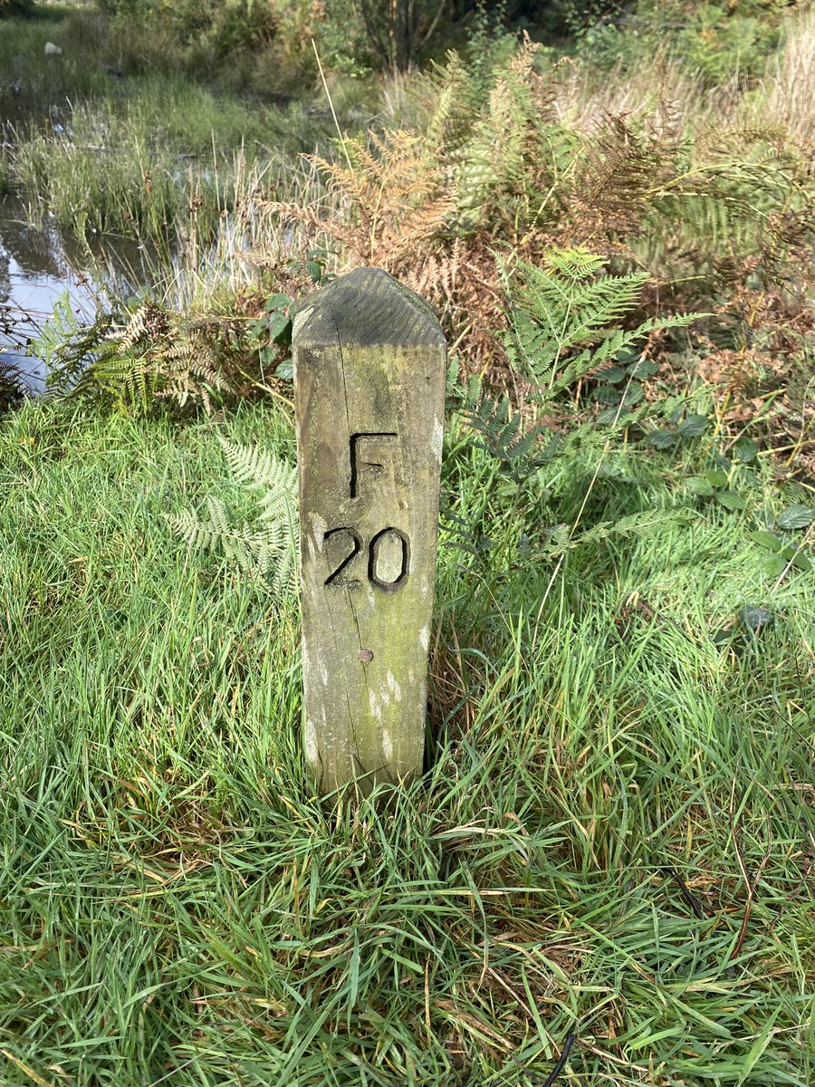 MrCarrPE's tweet photo. Beautiful morning out on #IlkleyMoor orienteering with some amazing young people who now call Bradford home. @RefugeeAction @Ilkleygrammar #AsylumSeekers #refugees #kind #NormalPeople https://t.co/jsIuVAqrEK