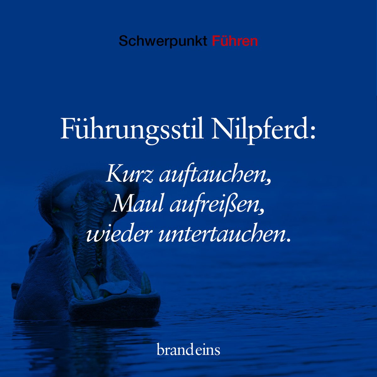 brand eins tweet media