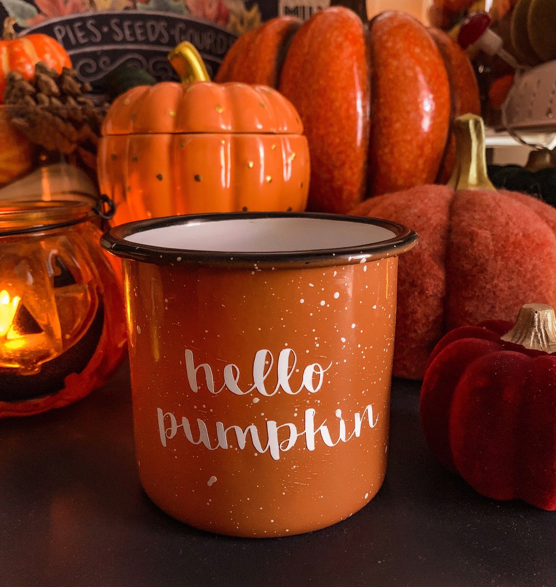 Liselotte tweet media