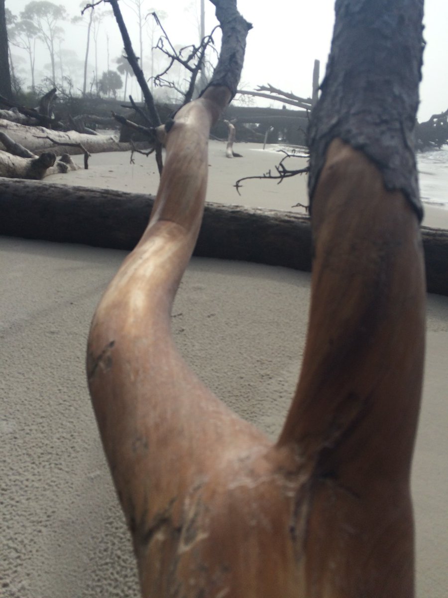 answer_problem's tweet image. The Florida I know, forgotten