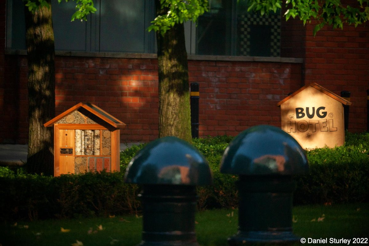 Daniel_Sturley's tweet photo. #Birmingham UK, the 'Bug Hotels' in Central Square @Brindleyplace this morning 😎
#BirminghamWeAre #AllSpecies
#UrbanWildlife https://t.co/dxQ5WKK0Be