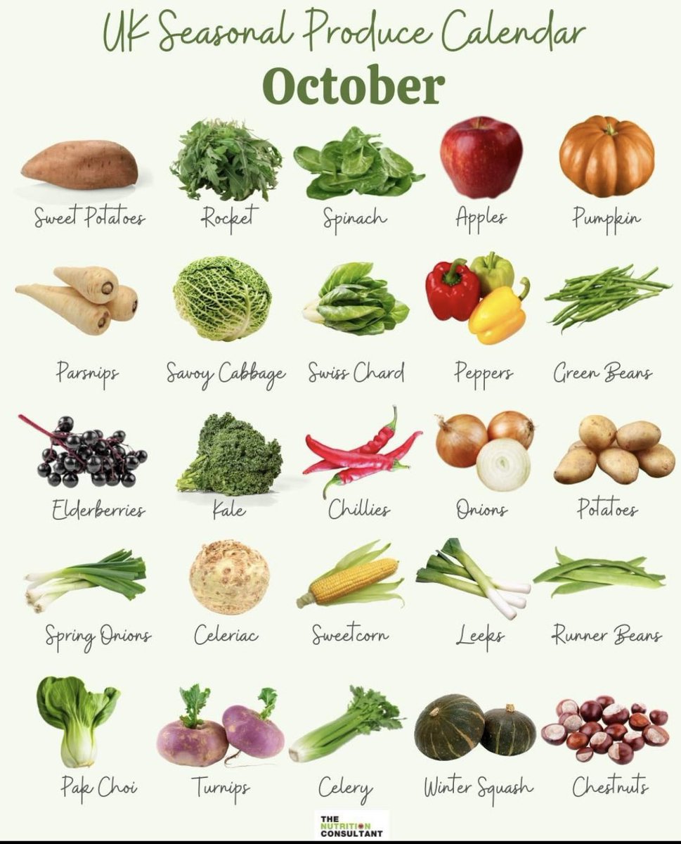 MrsJamesHE1's tweet photo. Love these calendars from The Nutrition Consultant vegetable 🥗 🍎 #seasonalproduce #sustainability https://t.co/Kj1jr5tN4y