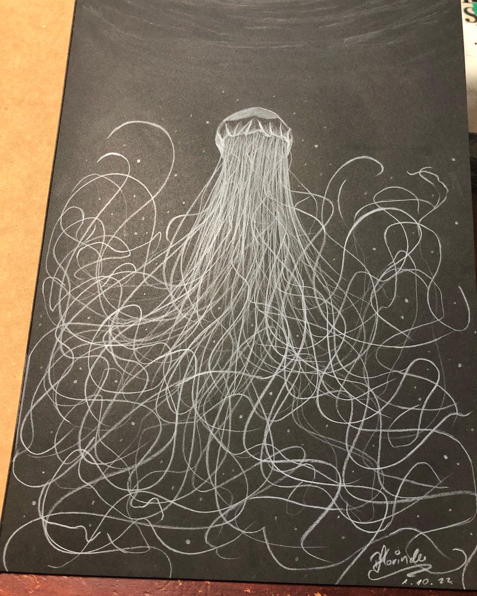 pflorinde's tweet photo. Tag 1 #Pentober #traditionalart #Pencildrawing #sketchart #digitalartist #art #artist #artwork #ArtistOnTwitter #polychomos #pencilsketch #snail #drawings #draw @ArtMutuals @ReArtistron @ArtistRTweeters #drawingoftheday #lineartist #lineart #traditionalartist #jellyfish #deapsea https://t.co/OFuH2OxVOz