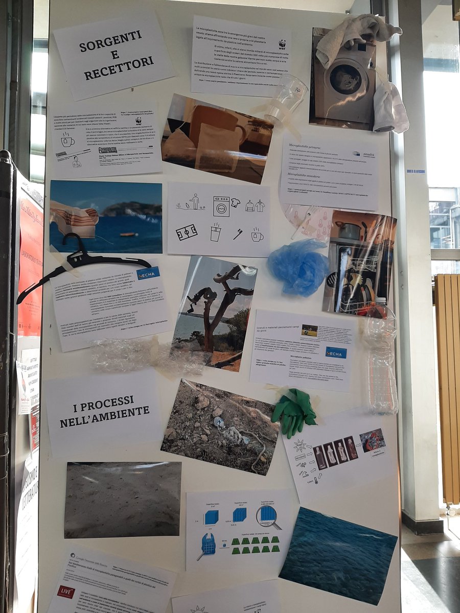 MoPassa4's tweet image. Tutto pronto per la mostra &quot;Plastiche e ambiente: dal visibile all&apos;invisibile&quot;. Siamo a Palazzo Nuovo fino alle 19.
Venite a scoprire cosa facciamo al @dipchim di @unito con il progetto #ERC_StG NaPuE e molto altro. #UNIGHTproject #EuropeanResearchersNight #Turin #Torino