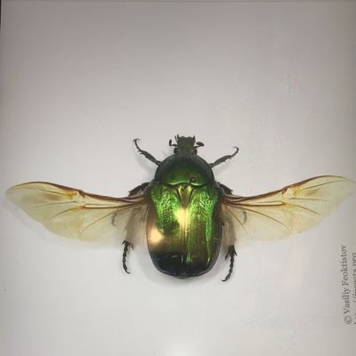 icoedro_studio's tweet photo. #NuevaFotoDePerfil https://t.co/ziWUMUCTJG