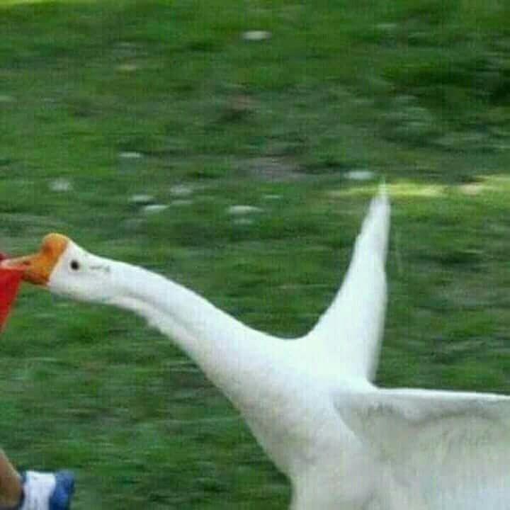 263juta's tweet photo. MATCHING PFP / PROFILE PICTURE WITH BESTIE

— a thread https://t.co/C9D3It0aQf