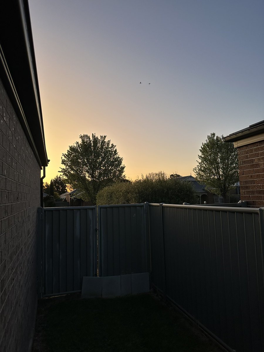 Man8Oussie's tweet image. Beautiful sunset here