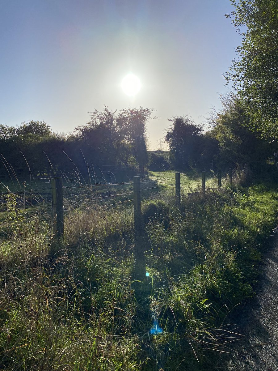 Tracey Jayne tweet media