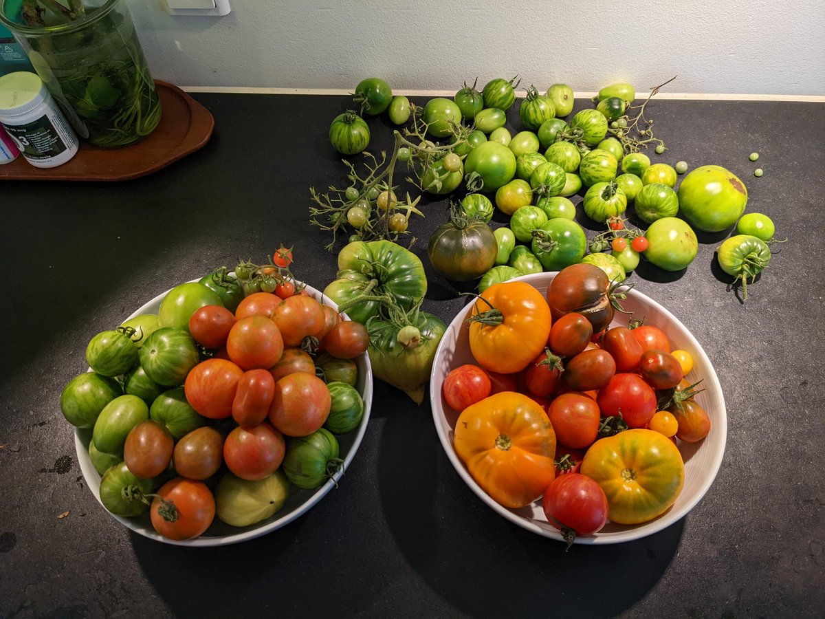 ірина tweet media