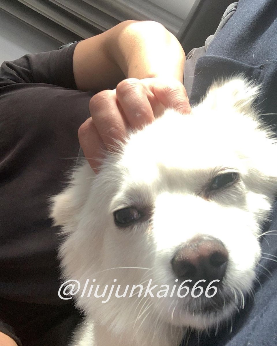 liujunkai666's tweet photo. 祝大家国庆节快乐  祝祖国生日快乐 愿祖国越来越强大 https://t.co/W2uEQU8Vd1