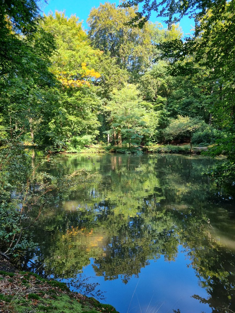 JelleVitesse's tweet photo. Ik vind deze best mooi geworden.
#Arnhem #Warnsborn #Herfst https://t.co/iyxNbEQYV0