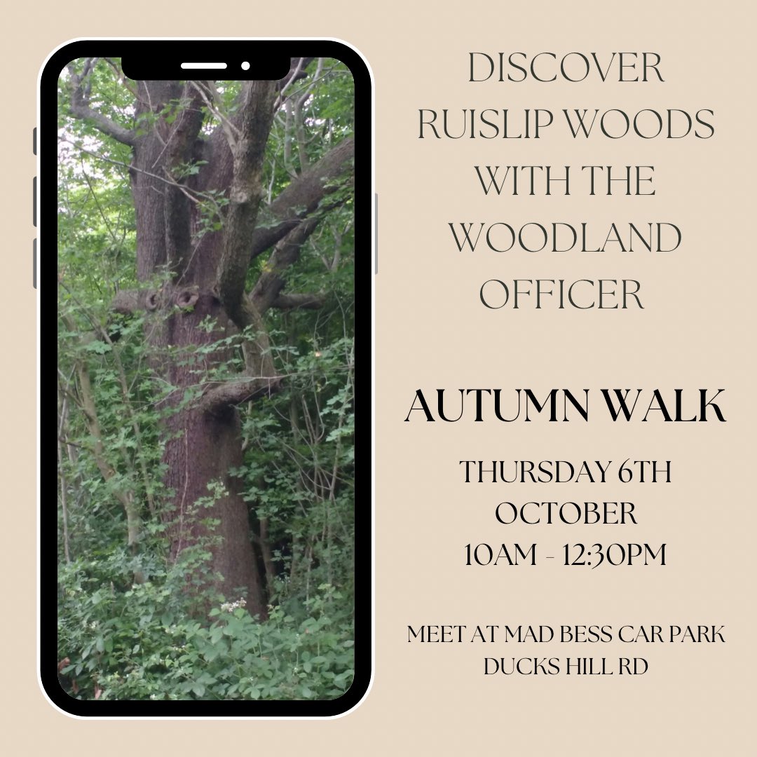 RuislipWoodsNNR's tweet image. If you want to clap eyes on this wonderful wild service tree, join us this Thursday.
@WildlifeTrusts 
@AncientTreesATF 
@WoodlandTrust 
@Colne_Valley 
@RuislipWoods 
@Londontrees1