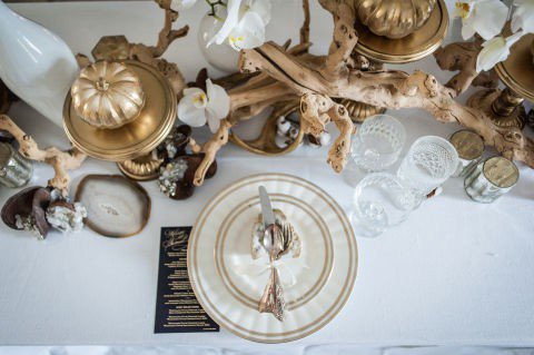 jmozeley1's tweet photo. Kitchen trends #holidaydecorating #kitchenredesign read more 
@wwwjmozeley design blog https://t.co/iQRE402Izr