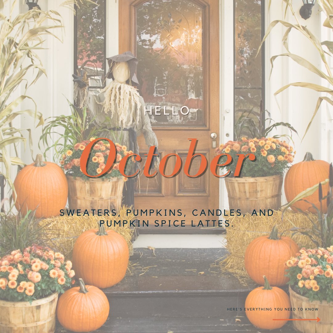 everydigi's tweet photo. Hello Autumn! 🍂
Spooky season is finally upon us! 🎃 👻
#yourtimetoshineonline #everythingdigital #ecommercebusiness #ecommerce #wecan #future #love #ınstagood #instadaily #followtrain #photooftheday https://t.co/t45yfYZQld