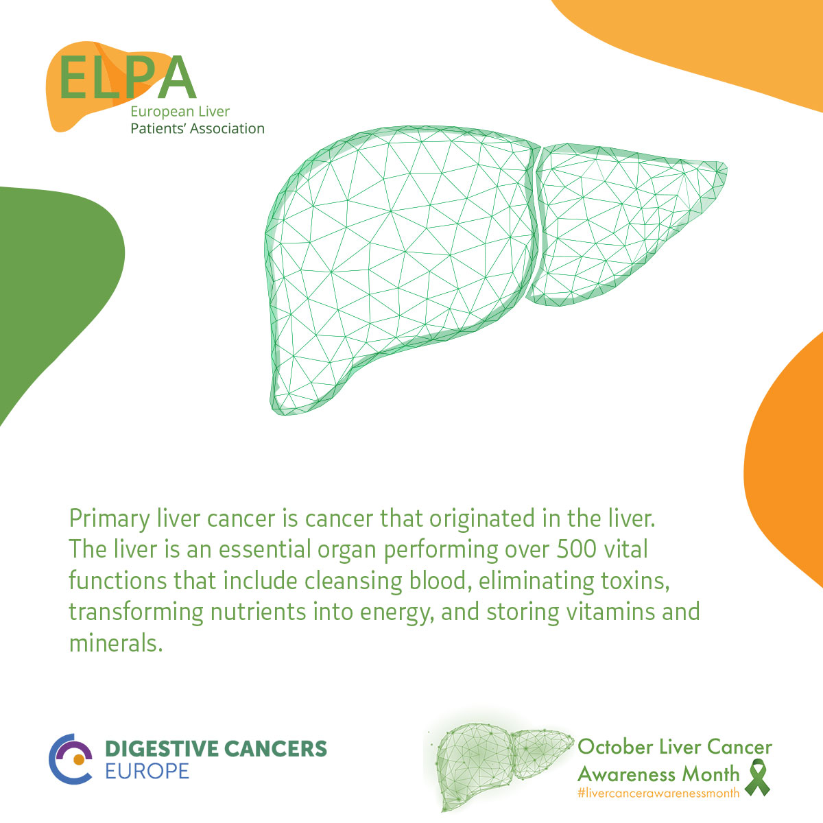 EuropeLiver's tweet photo. What is liver cancer? #LiverCancerAwarnessMonth #livertwitter @dice_europe @EU_Health @WHO_Europe @GLOBOCAN_GCO @EASLnews @EASLedu @EASLEUAffairs @myESMO @ILCAnews @Marko_Korenjak @AleksanderKrag @MKDmilanM @asscatinforma @fneth_org @LiverTrust @SOS_hepatites #EUCancerPlan https://t.co/yxMClDylr1