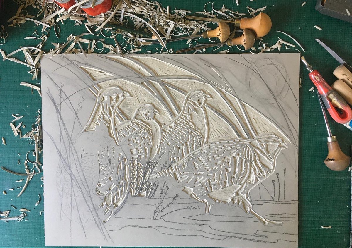 maxangusmaker's tweet image. ‘Little steps’ 4 block linocut image size 34 x 29cm. Number 3 of the edition is framed &amp;amp; waiting for the exhibition Mall Galleries to open to the public 13th October.The Natural Eye’ by The Society of Wildlife Artists. Preview of exhibition is available Mall Galleries website.