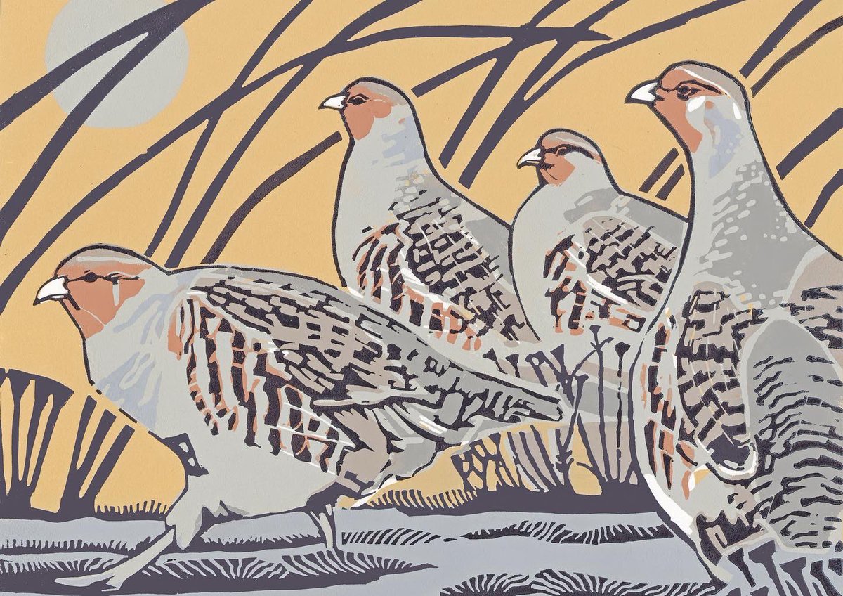 maxangusmaker's tweet image. ‘Little steps’ 4 block linocut image size 34 x 29cm. Number 3 of the edition is framed &amp;amp; waiting for the exhibition Mall Galleries to open to the public 13th October.The Natural Eye’ by The Society of Wildlife Artists. Preview of exhibition is available Mall Galleries website.