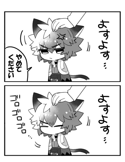 メデにゃん 