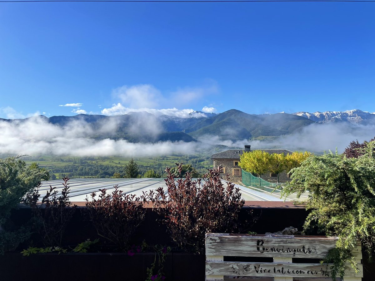 defneddinc's tweet photo. #MCSummerSchool22 has truly been a great experience as a first international meeting during my PhD life. Amazing talks and amazing people, and a venue with pretty captivating views in La #Cerdanya. Many thanks to the organizers! https://t.co/EavO3PLx14