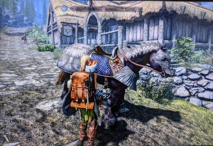 スカイリムAEで追加された野生の馬、他の馬と色以外何が違うんだろうと思ったけど馬屋で買える馬と比べて倍近くスタミナがあるんだな、ファストトラベルが出来ないサバイバルモードでプレイしてるのでこれはありがたい。
ただバグなのか鞍が付けれないのが悲しい😅(PS4版)鎧は付けれるけど。 