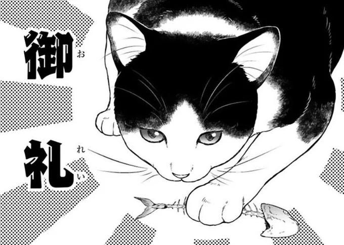 応募してくださった皆様に、御礼🐟 ※「#殿と犬」はイキのいい猫も出ます