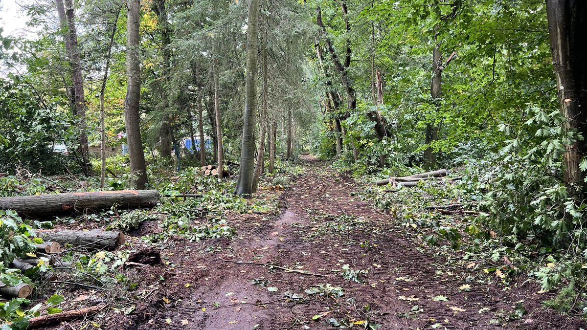 ®️obin tweet media