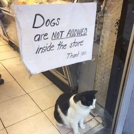 DoseOfCatto's tweet photo. Read carefully. https://t.co/JmosnAn9aa