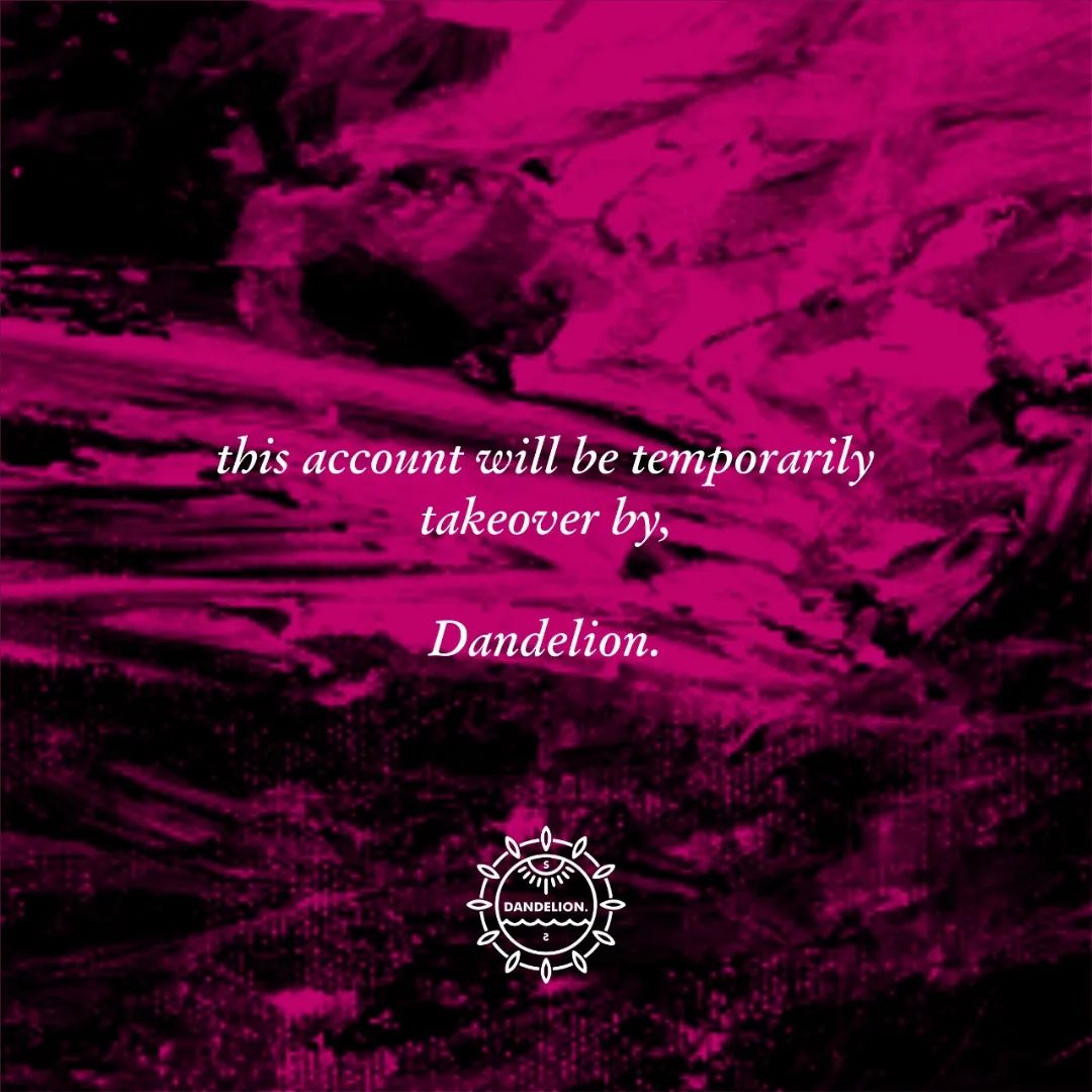 makhali__'s tweet photo. Aeternum *BLOOM / DANDELION 💥 https://t.co/qMNjejVkrz