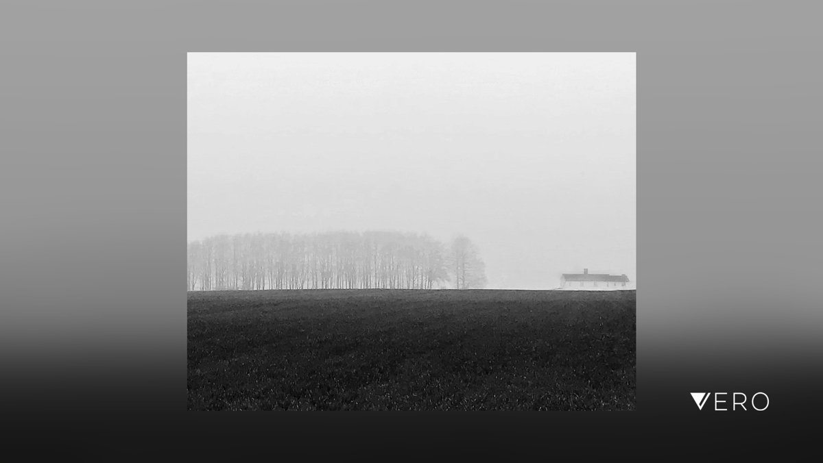 BobHolmanPhoto's tweet photo. Of mists and mellow fruitfulness. 

#smartshots #blackandwhitephoto #blackandwhitephotography #blackandwhite #iamarebelmember #iso100community #raw_bnw #shotoniPhone #rebels_united #rebel_bnw #podium_mono #monochrome #GoMono #picta… https://t.co/eC5nnzRQcR https://t.co/yCKVK21vZw