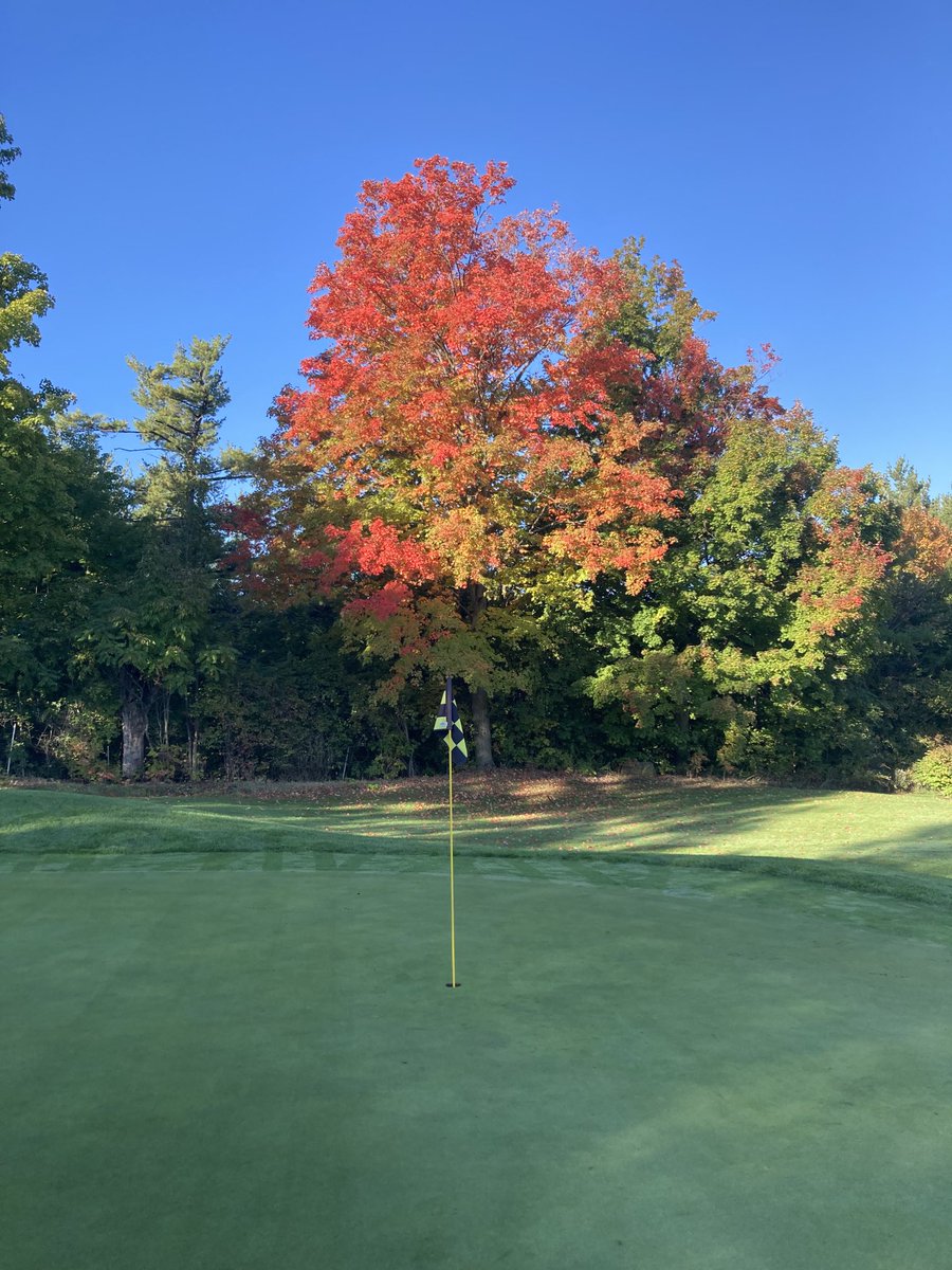 grahamjmarshall's tweet photo. #lowvillegc 4th green Autumnal splendour https://t.co/bqNw28bMxN