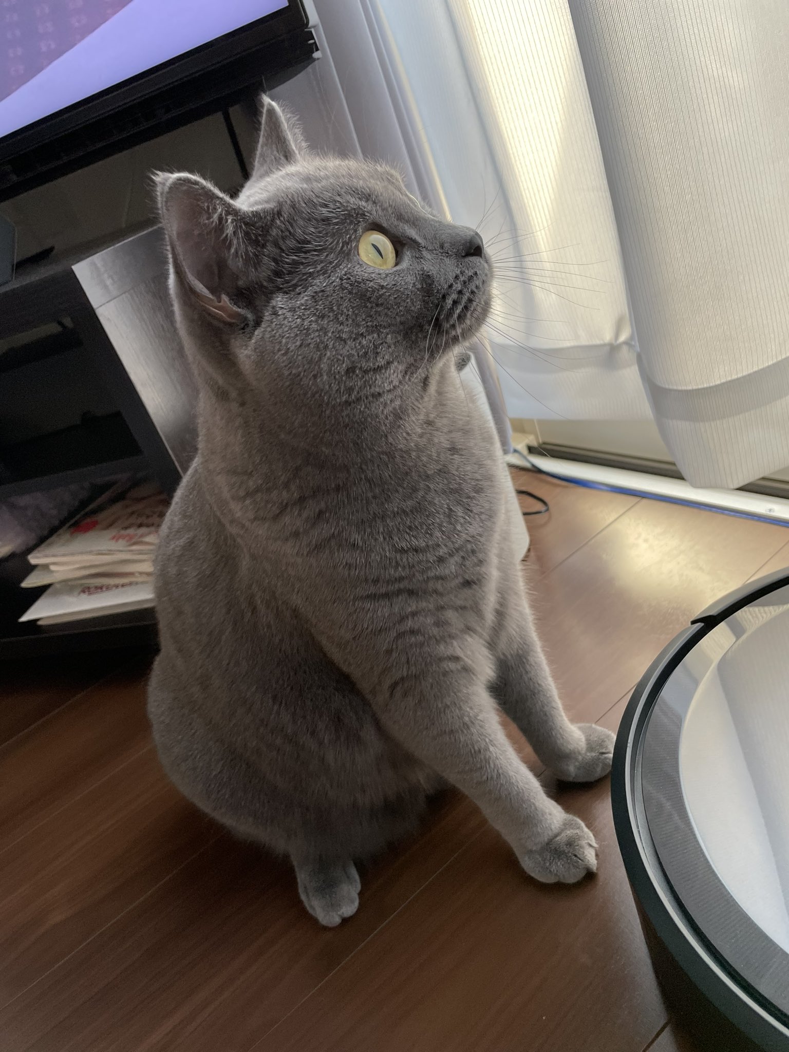 ｼｬﾙﾄﾘｭｰのちろ Chirochannel Twitter