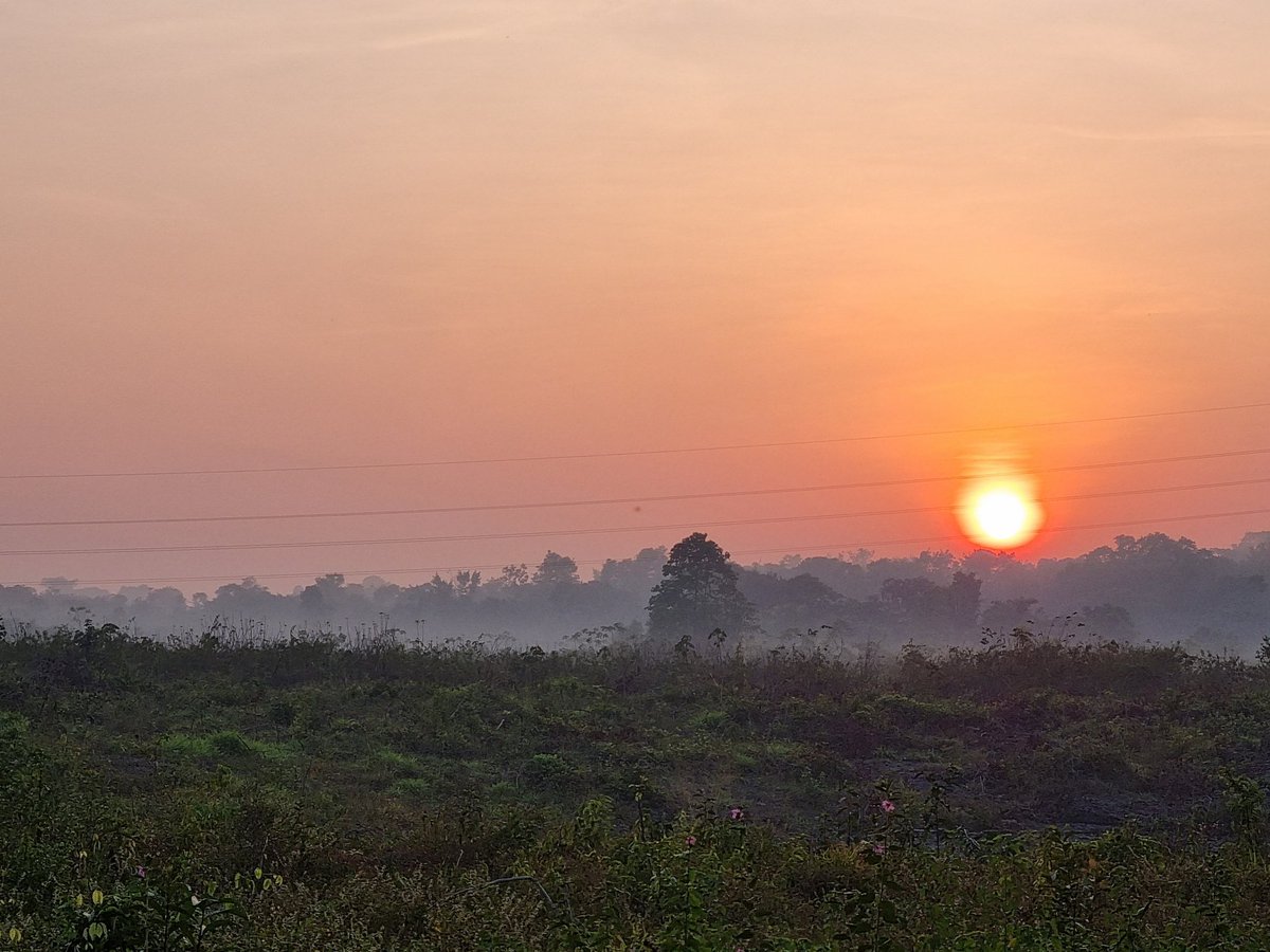 Erika_Berenguer's tweet photo. Not even 7am yet and the Amazon is already covered in smoke coming from all the deforestation fires surrounding us. The sun rises red amidst so much destruction. https://t.co/Bh5cME5zey