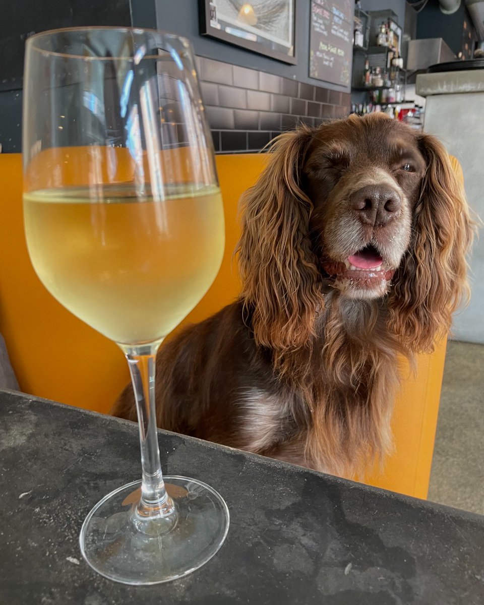 Saturday brunch vs Sunday brunch.
We feel you, Jasper! 😜

#elnecotmcr