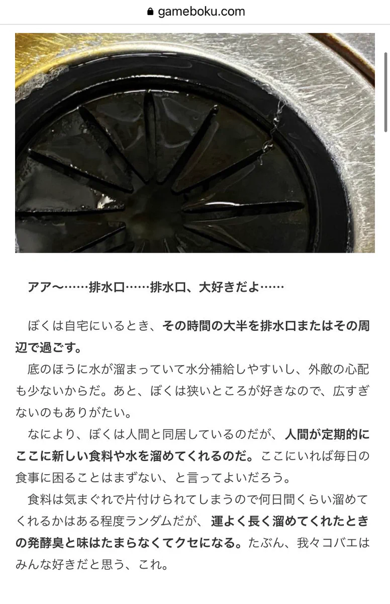 まさにコバエの感想？「コバエがホイホイ」をコバエ目線でレビューしてみた！