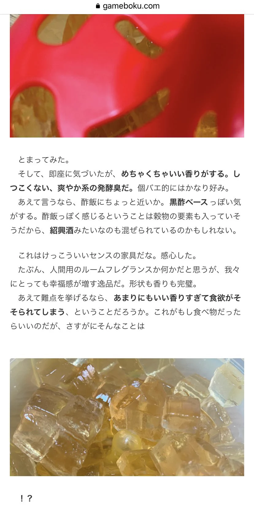 まさにコバエの感想？「コバエがホイホイ」をコバエ目線でレビューしてみた！