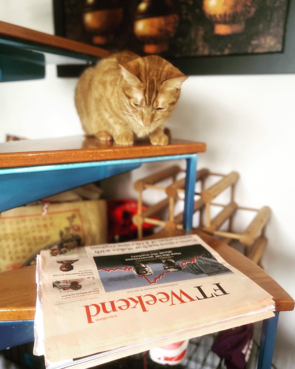 Stanleymarketcats tweet media