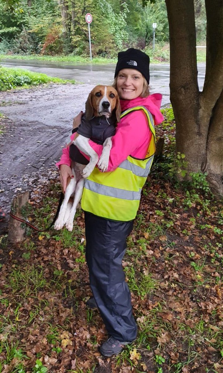 cathlouise77's tweet photo. Volunteering at parkrun this morning with my pawrents .... showing off my new coat from @RuffwearUK #barkrunner 
#liebeparkrun 🧡🌳@neckarauparkrun https://t.co/MVfydQTQaE