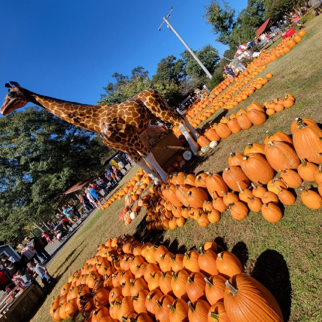Pettit Creek Farms (@CreekPettit) / Twitter