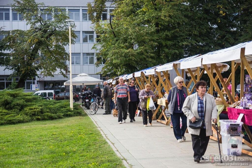 osijek_031's tweet photo. Galeriju fotografija pogledajte ovdje: https://t.co/Y977df6L3q https://t.co/lp0cktEI3G