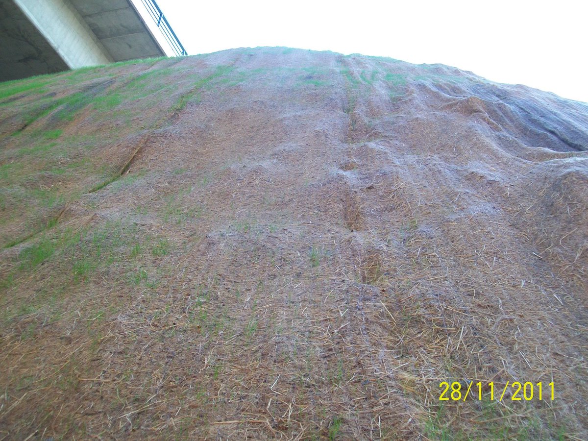 GFAugasGalicia's tweet image. ...que non só intenta integrar unha actuación no medio, tamén a de evitar a perda de terreos e vislumbrar 11 anos despois coa colonización expontánea de vexetación, a tan esquecida conectividade. 
Parabéns💁!