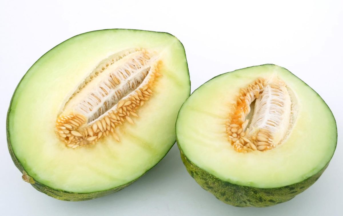 IgeaManuel's tweet photo. #MPL22 como dice @QuirceSantiago vamos a abrir el último melón de la reunión: alérgenos vegetales https://t.co/Yjf8OapyAw