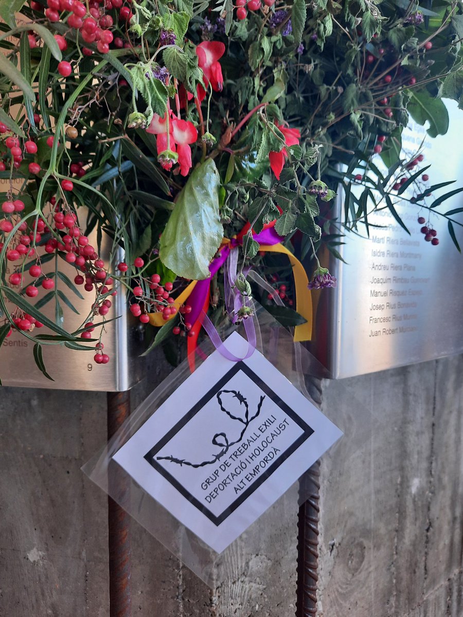 DEMD-Ebre tweet media