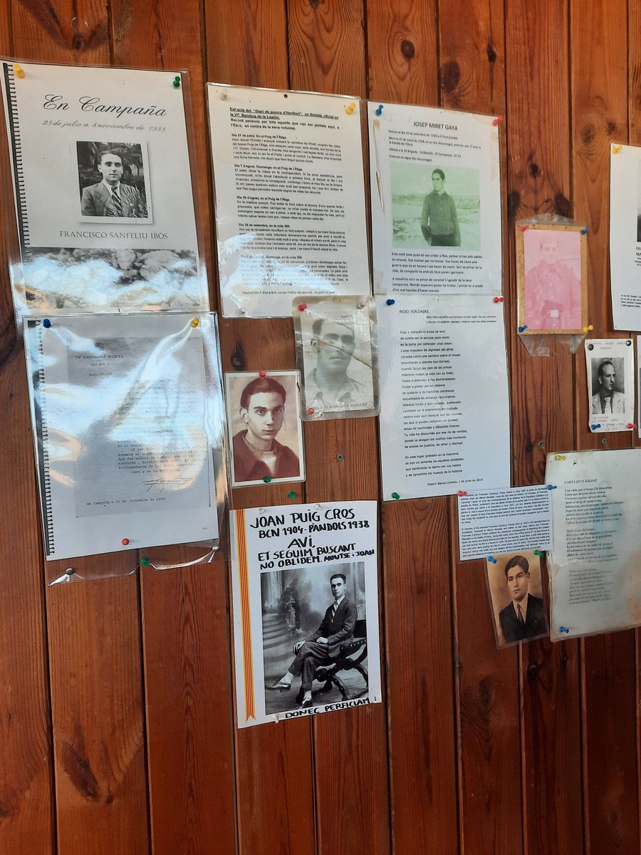 DEMD-Ebre tweet media